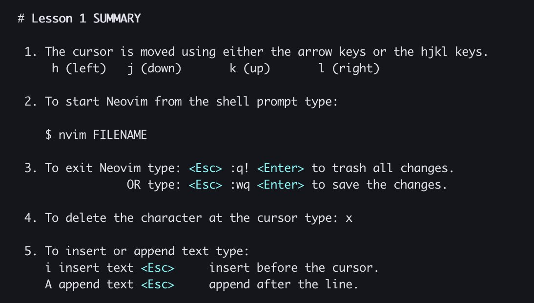 the five commands at the end of nvim tutor lesson 1
